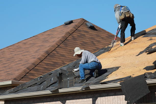 Best Asphalt Shingle Roofing  in Inesville, GA