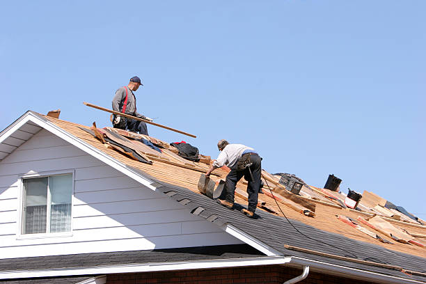 Best Metal Roofing Installation  in Inesville, GA